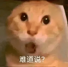 圆头耄耋原始图片