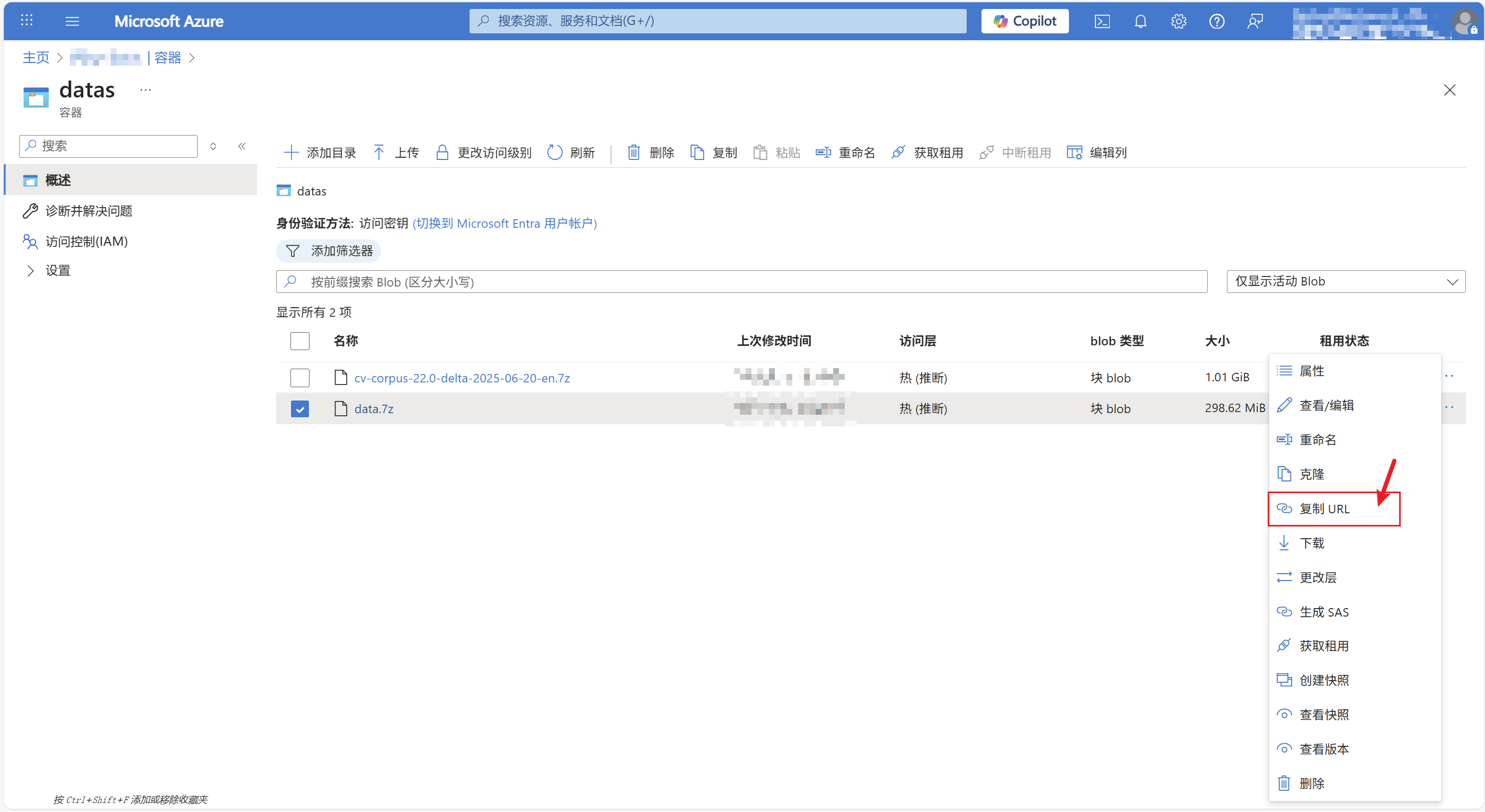 image-20250821153025213