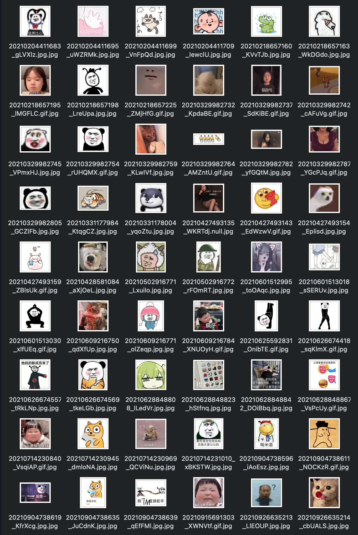 image-20230314115717115